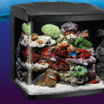 Coralife LED BioCube Aquarium Starter Kit