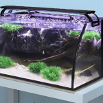 Hygger Horizon 8-Gallon LED Glass Aquarium Kit