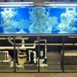 aquarium filters tank reef saltwater freshwater
