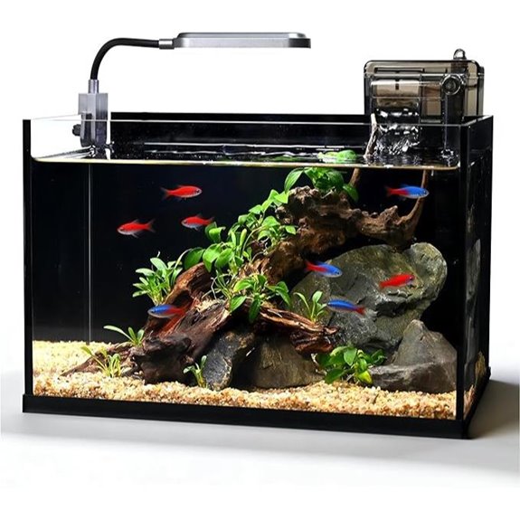 2.8 Gallon Glass Fish Tank Kit with Light and Filter