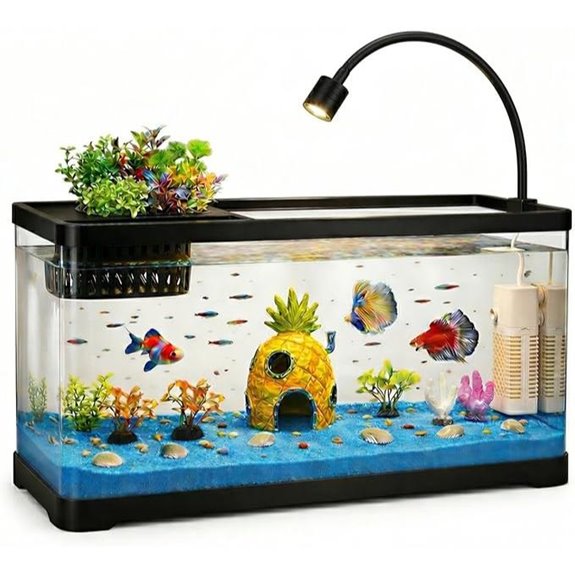 5 Gallon Fish Tank Aquarium Starter Kit with Filter