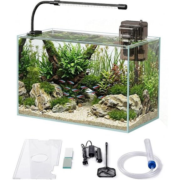 5-Gallon Glass Fish Tank Starter Kit