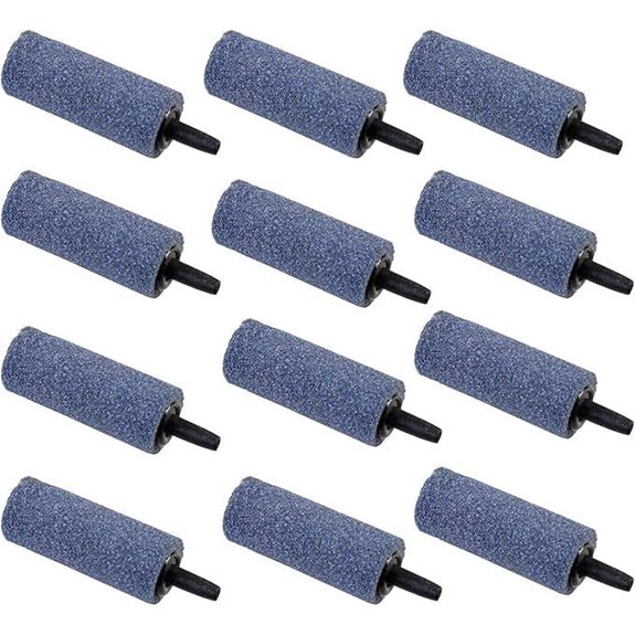 AQUANEAT 2 Aquarium Air Stones (12-Pack)