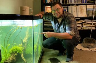aquarium ecology and sustainability