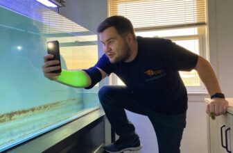 aquarium snail breeding tips