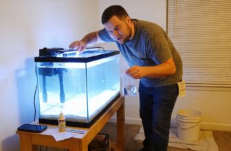 beginner aquarium setup guide