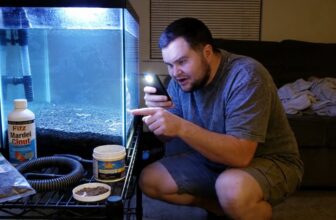 detritus worm control methods