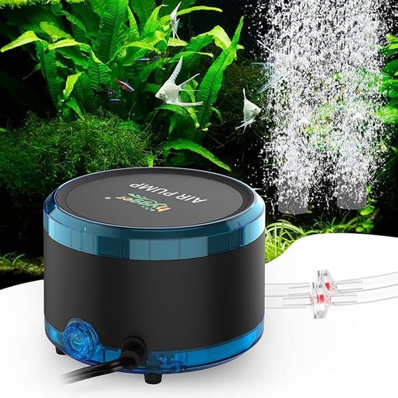 Hygger Dual Outlet Aquarium Air Pump with Air Stone