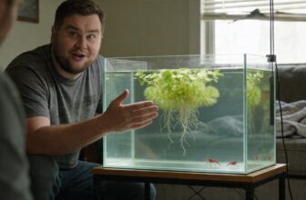 dwarf water lettuce care