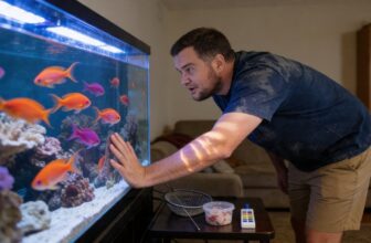 essential reef fish care