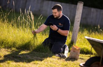 expert lawn care guide