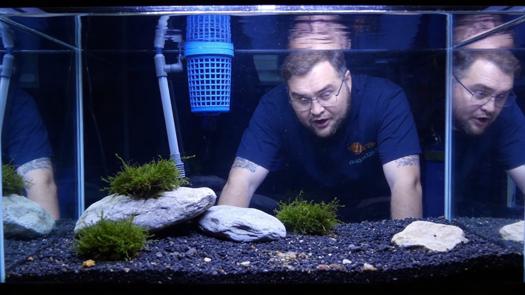 fine sand shrimp habitat