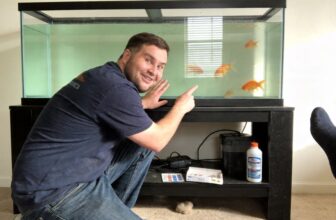 goldfish lifespan influencing factors