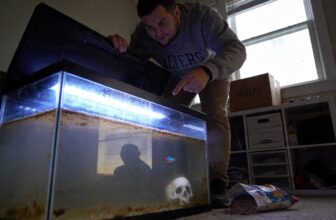 hidden aquarium store tactics