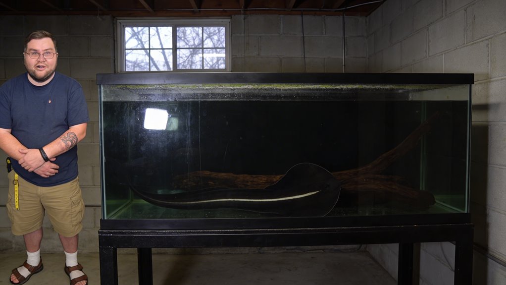 hundred gallon tank required