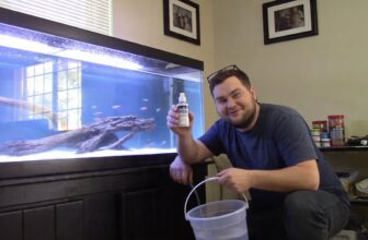 instant fish safe water