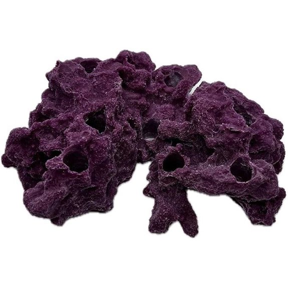 Coralline Purple Sandbed Frag Rack for Live Coral