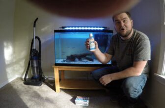 lower aquarium ph effortlessly
