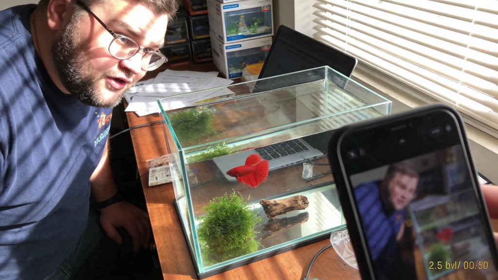 miniature aquarium ecosystem essentials