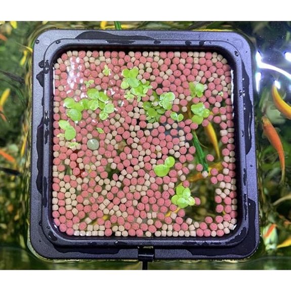 Magnetic Fish Feeding Ring for Aquariums (Patented)