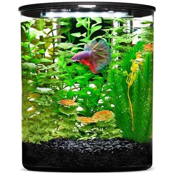 imagitarium by Petco Plastic Cylinder Betta Aquarium 2.5 Gallon
