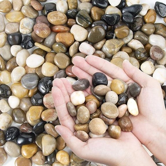 Pebbles Polished Mixed Color Decorative River Rocks (2 lbs)