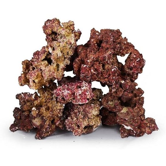 Premium Live Rock for Saltwater Aquariums (40 LB) Mixed Sizes