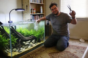 sustainable aquarium design craftsmanship