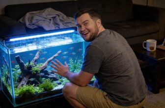 tetra species overview