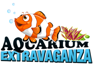 the aquarium extravaganza logoo v1-01