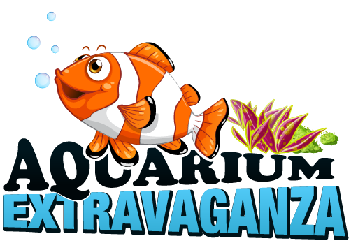 Aquarium Extravaganza