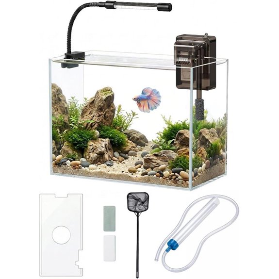 3 Gallon Glass Fish Tank Kit with Filter and Lights