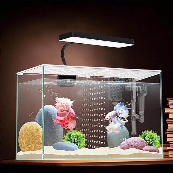 3 Gallon Betta Fish Tank with LED Light