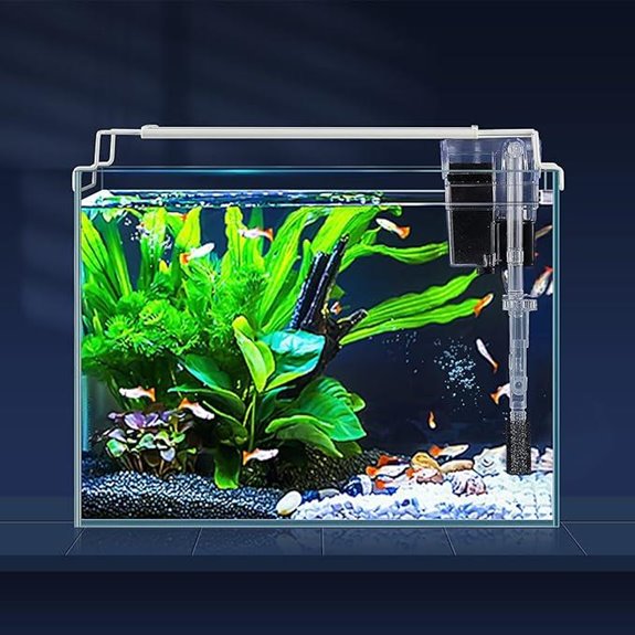 LAQUAL 3-Gallon Rimless Glass Aquarium Starter Kit