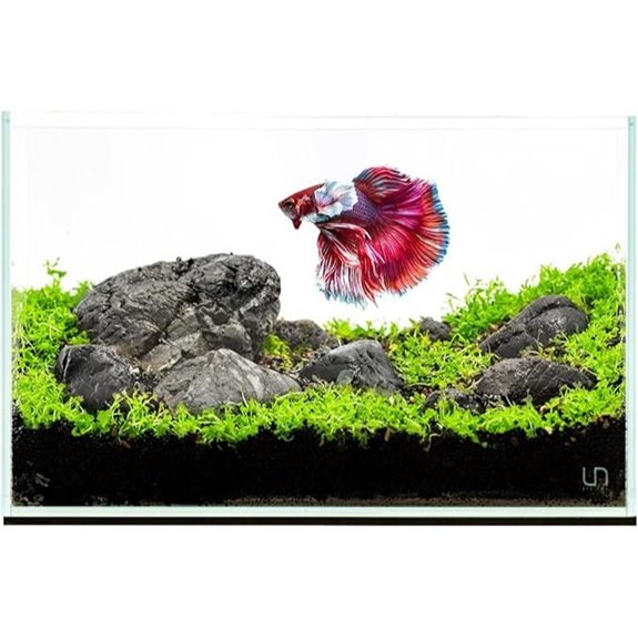 Ultum Nature Systems Rimless Aquarium (3 Gallon 3N)