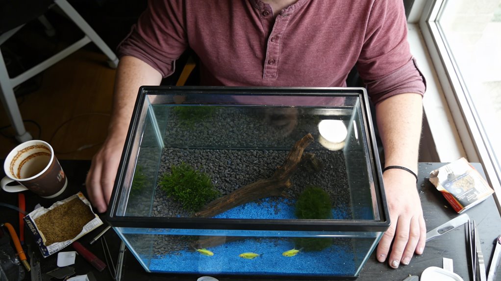 tiny fish half inch tiny fish half inch