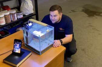 tiny freshwater fish selection