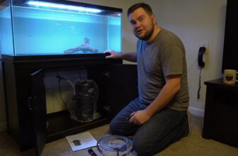top 30 gallon fish filters
