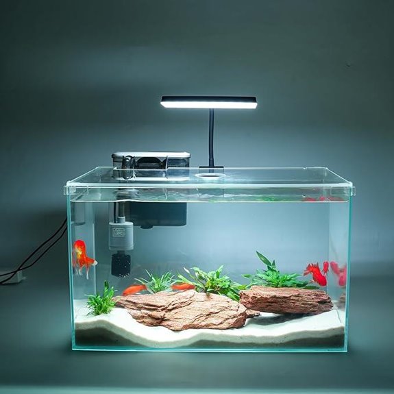 Vimvins 10 Gallon Glass Fish Tank Kit