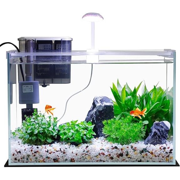 Vimvins 5 Gallon Betta Aquarium Starter Kit