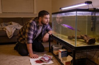 violet goby care basics