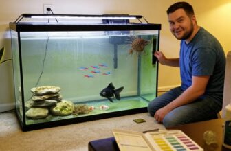 algae control for aquariums