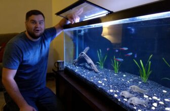 best fish tank gravels