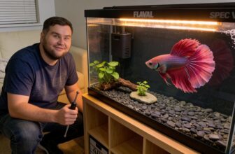 bettas thrive in 5 gallon val