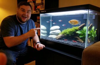 compact versatile aquarium tank