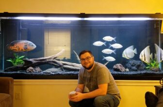 large 200 gallon aquarium
