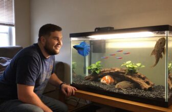 large 30 gallon aquarium
