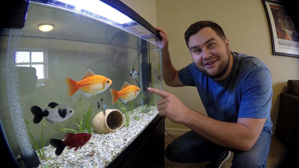 13 Types Of Platy Fish (And How To Care For Them)