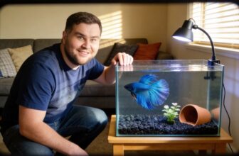 prolong betta fish lifespan