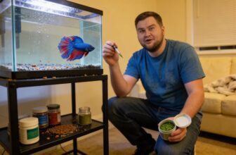spirulina nutrition for betta